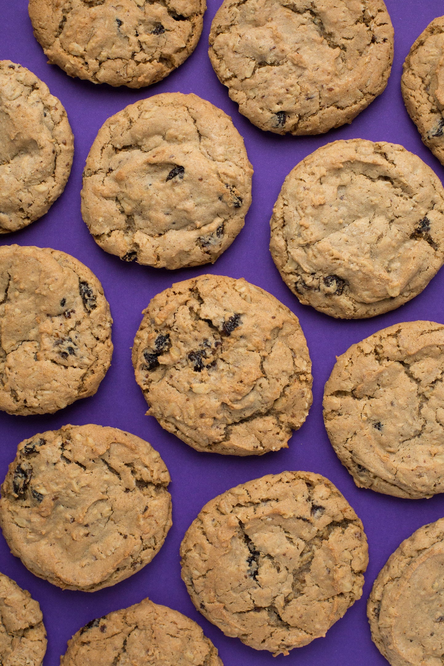 Ethel's Baking Company oatmeal raisin cookies, a close-up of two freshly baked cookies with raisins on a rustic surface.