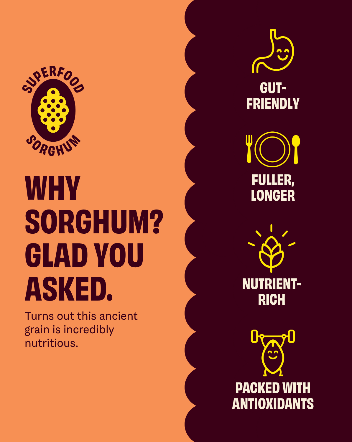 Cob Foods Seriously Cheesy popped sorghum snack in a bowl, showcasing cheesy flavor and crunchy texture.