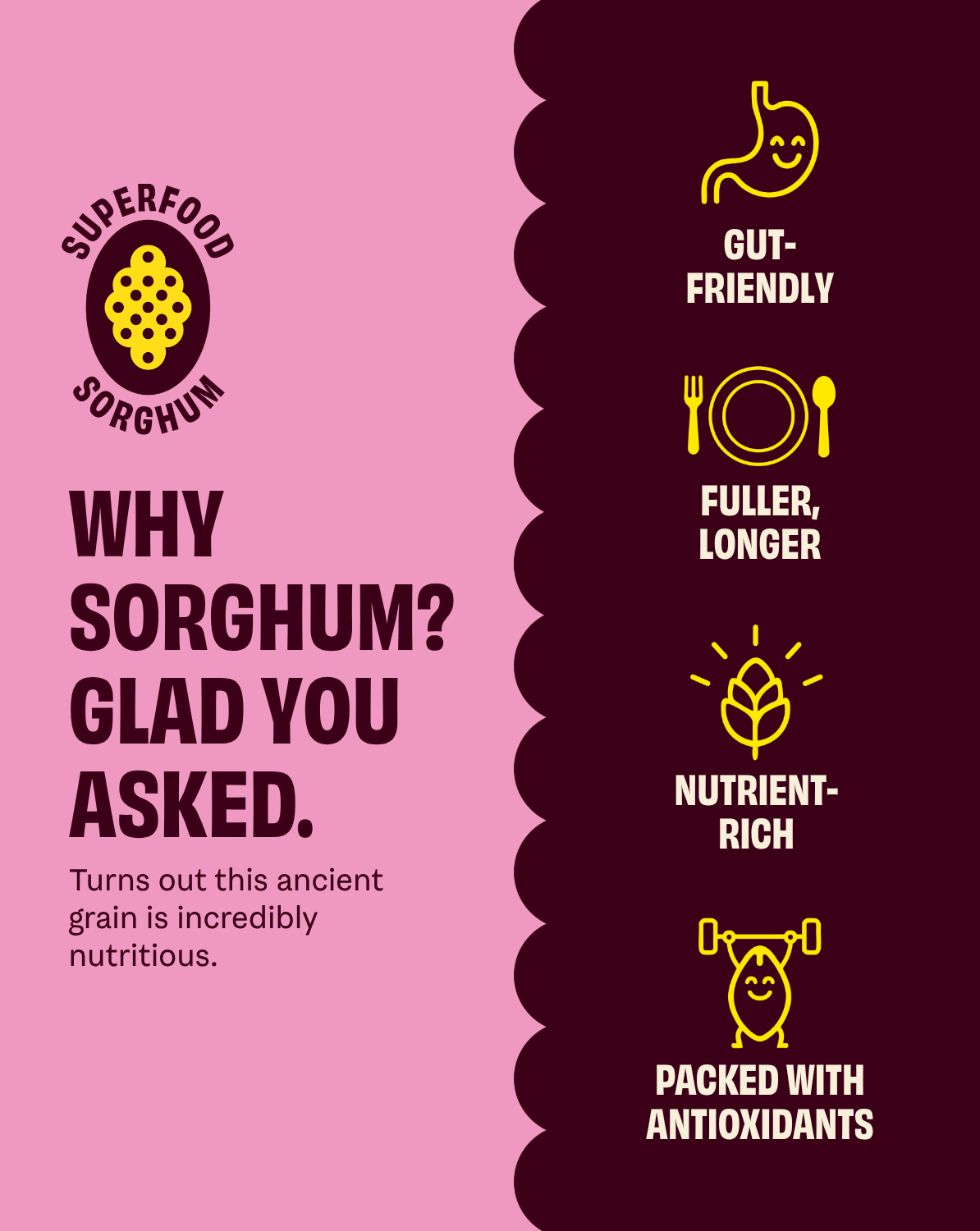 Cob Foods pink salt seasoned popped sorghum snack in a clear bowl, highlighting the vibrant salt crystals on the popcorn.