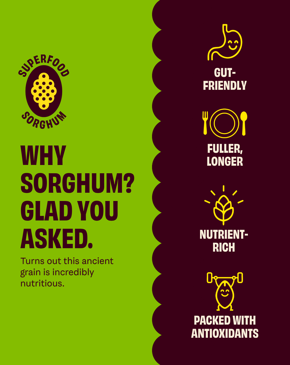 Cob Foods Mediterranean Herb Popped Sorghum, flavorful snack with herbs, in a clear bowl showing golden popped sorghum grains.