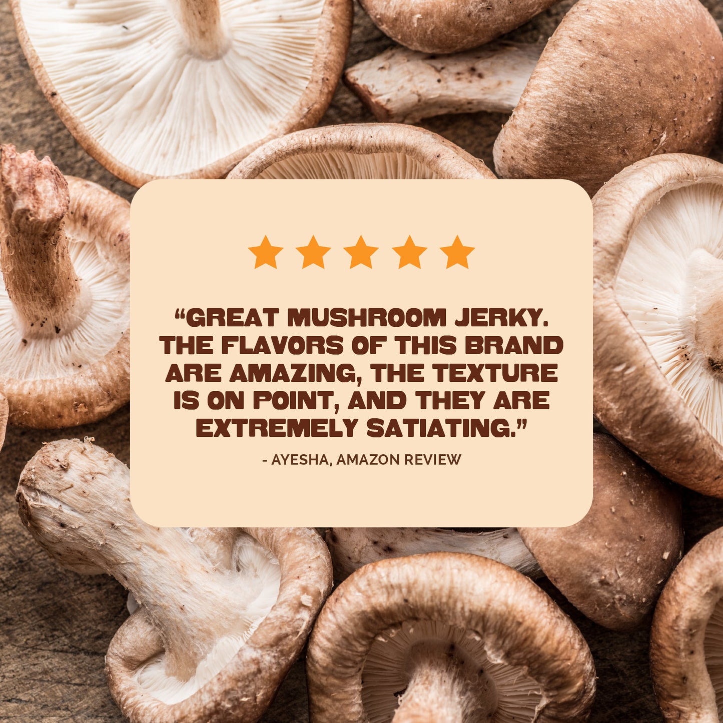 Pan's Teriyaki Mushroom Jerky Five Pack