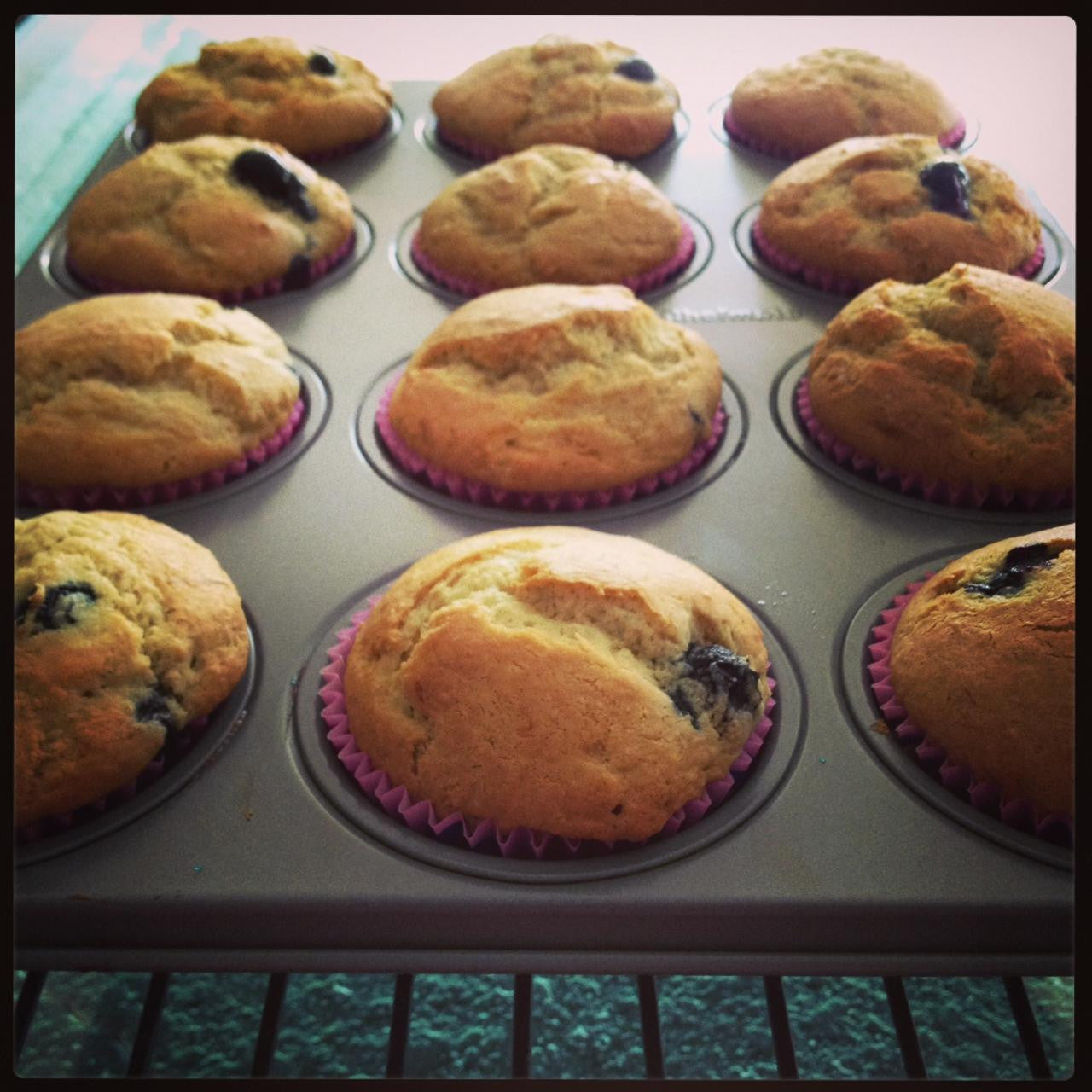 Gluten-free gfJules muffin mix in a resealable bag with muffins and baking ingredients on a kitchen counter.