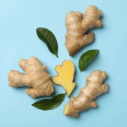 Tummydrops Berry Goodness Ginger Bundle