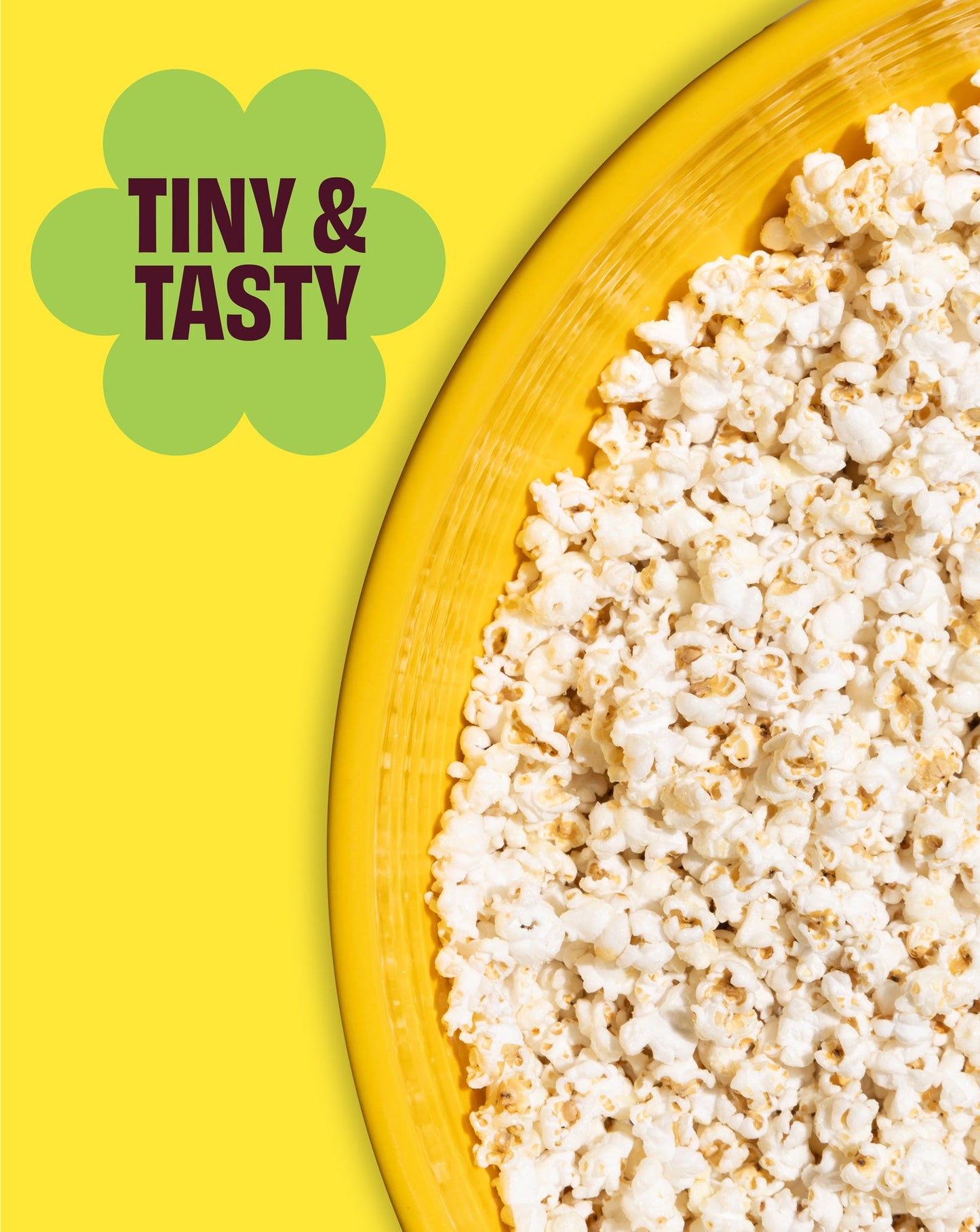 Cob Vegan Flavor Sampler