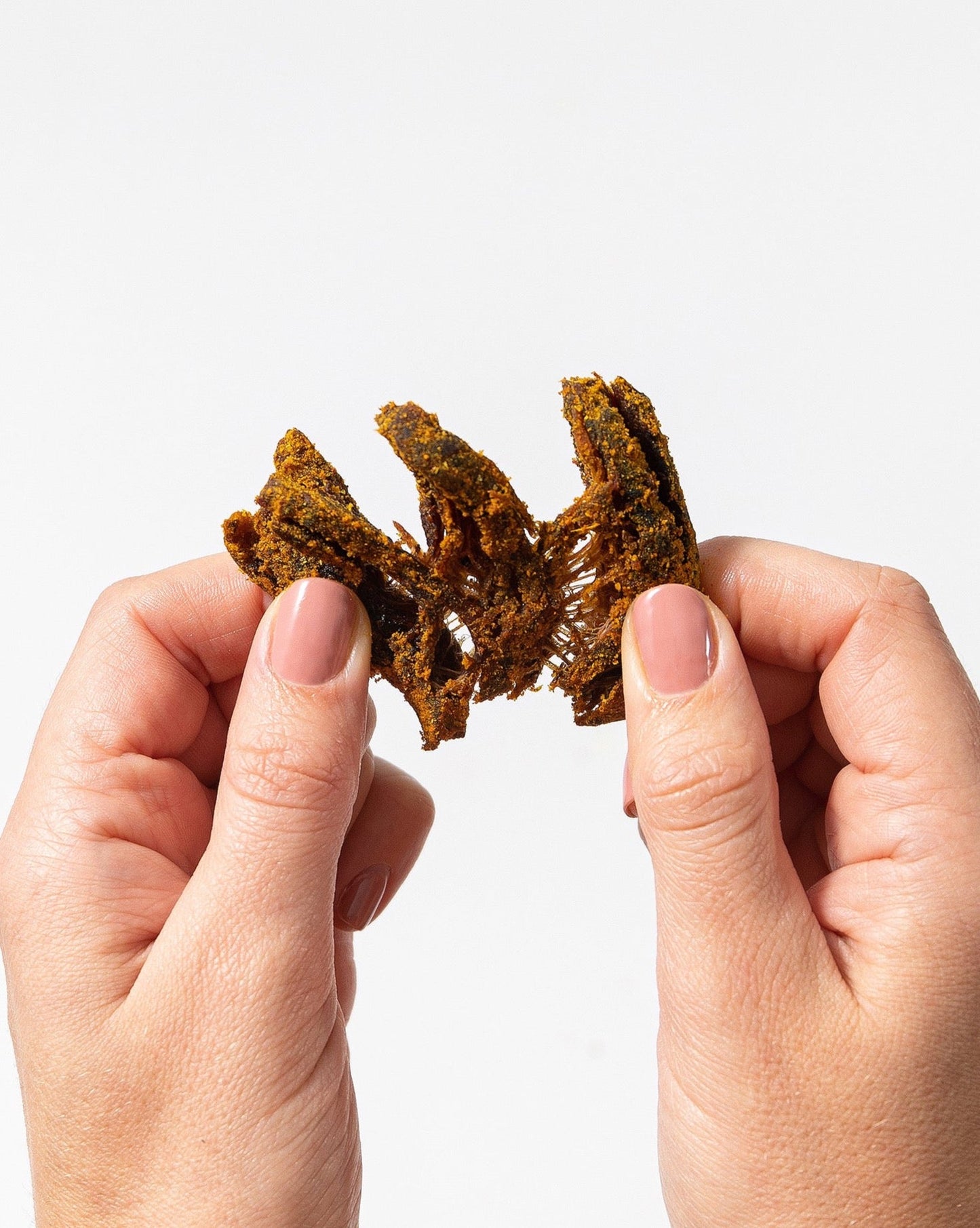 Close-up of Pan's Curry Mushroom Jerky showing the savory, meaty texture and seasoned surface of the mushroom jerky.