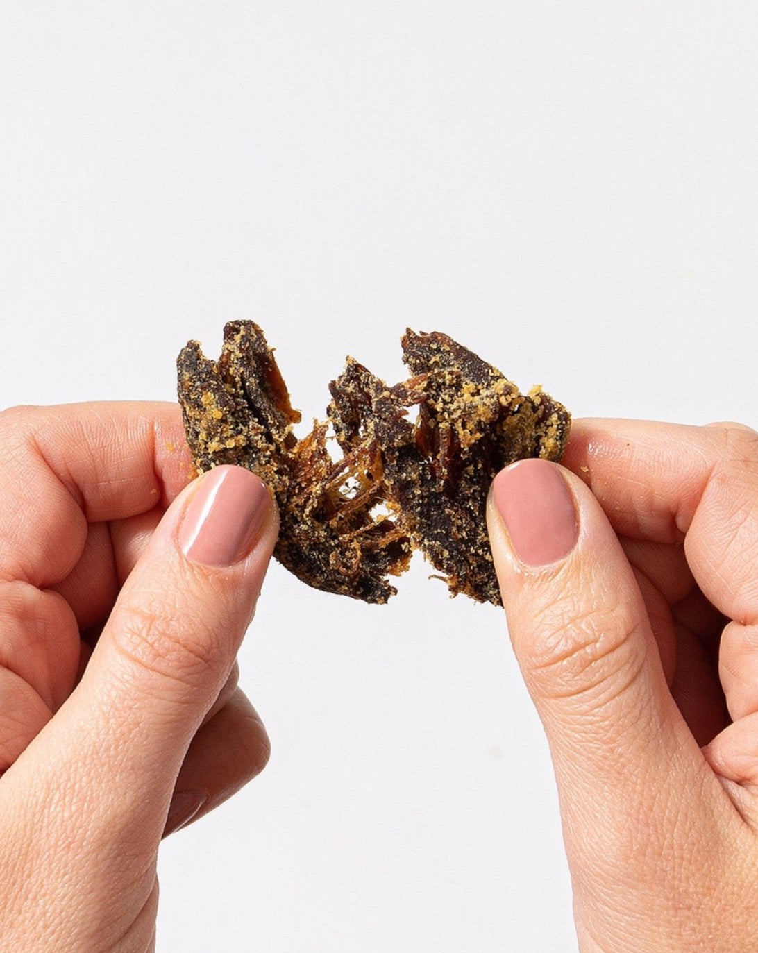 Pan's Teriyaki Mushroom Jerky Five Pack