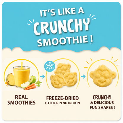 Hapinest Pineapple Apple Smoothie Crisps