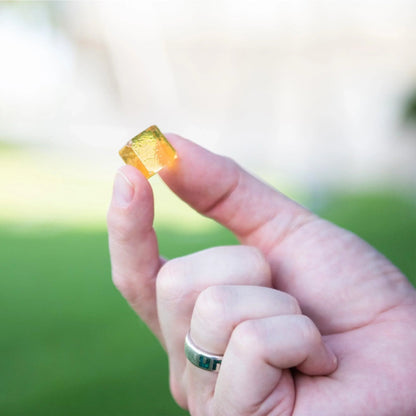 Hand holding Essential Candy Zing Energy botanical lozenges, herbal supplement with a signature blend for natural energy boost.