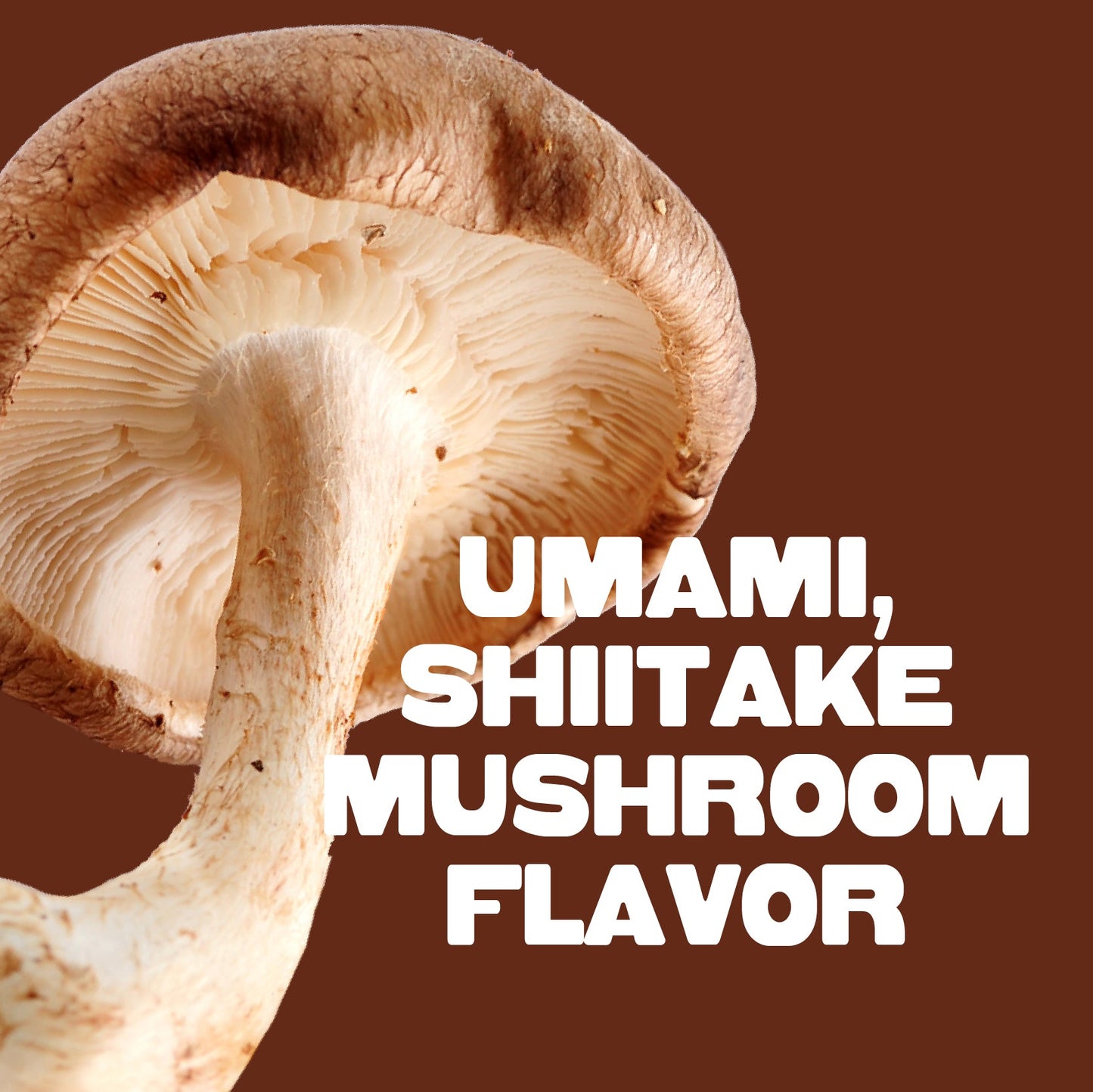 Pan's Teriyaki Mushroom Jerky Five Pack