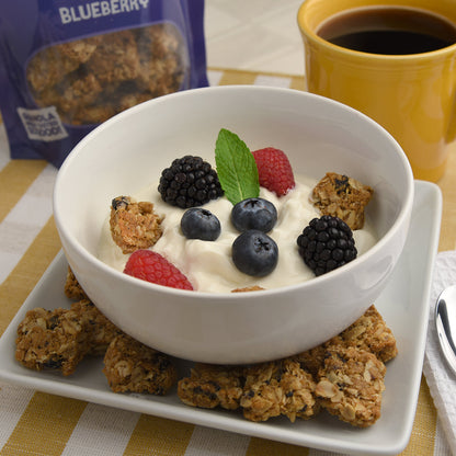 Crazy Monkey Blueberry Granola Bites