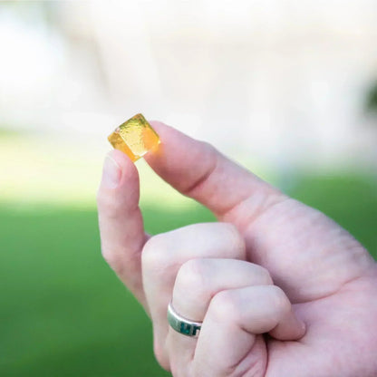 Organic herbal supplement lozenges by Essential Candy with dandelion root, celery, black pepper, and cayenne in a clear hard candy.