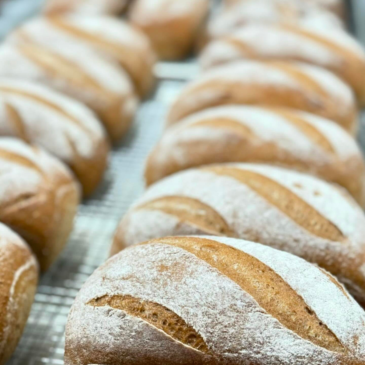 Heaven GF Bakery Buckwheat (White) Sourdough Vegan Loaf (4 pack)
